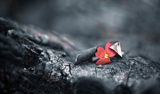 1年後も生き残ってる？オウンドメディアがコンテンツマーケティングで生き残る5の条件