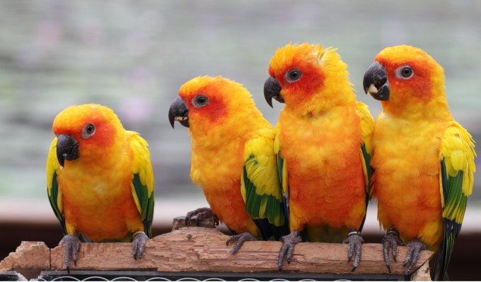 来年2016年のコンテンツマーケティングで起こる変化を4つ予測。最新の海外動向から見えてくる変化とは？