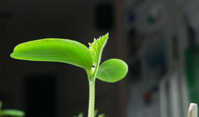 見込み客を捨ててませんか？3段階のリードナーチャリングで利用する11種類のコンテンツ