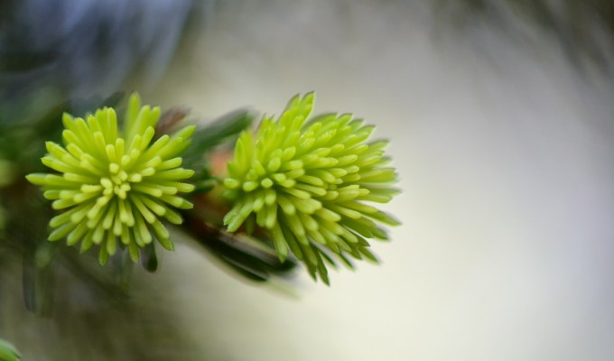 育成できる見込み客を獲得する4つの方法