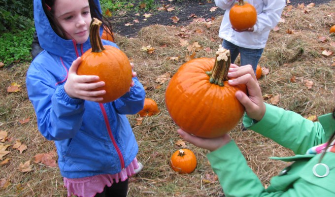 競合サイトのタイトルと要約一覧を取得して調査する方法