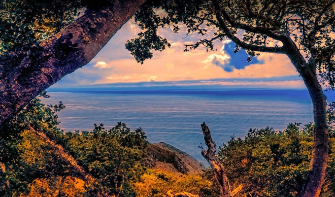 42のコンテンツマーケティンで役に立つメディア・ツール・サービスを紹介